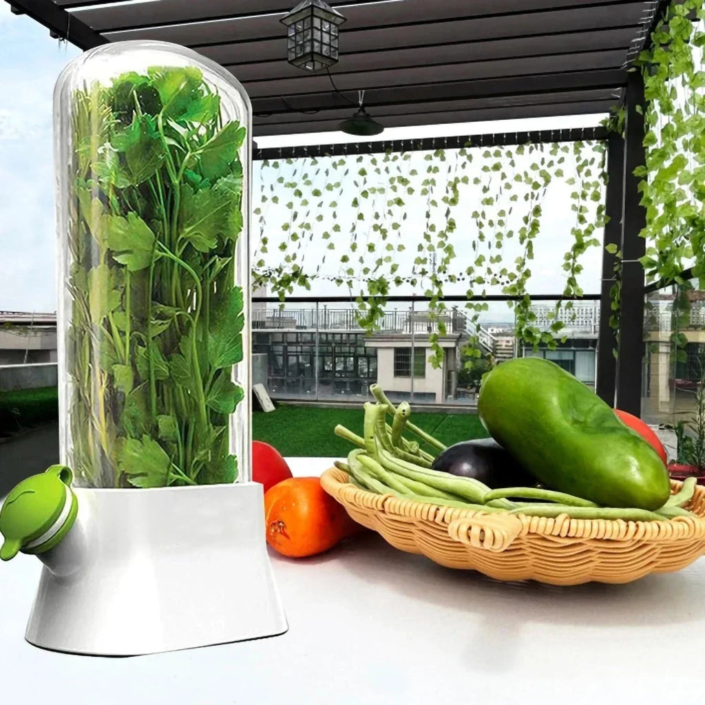 Refrigerator Herb Crisper Saver Pod Container Vegetable Preserving Bottle Keep Herb/Cilantro/Mint/Parsley/Asparagus Fresh Green